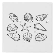 Seashell