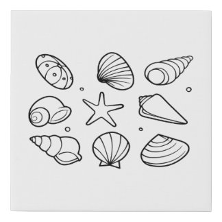 Seashell Faux Canvas Print