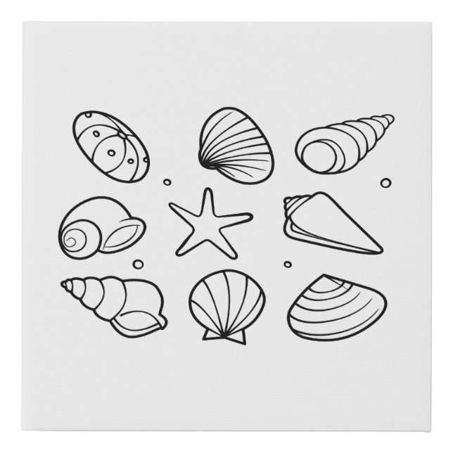 Seashell Faux Canvas Print (Front)