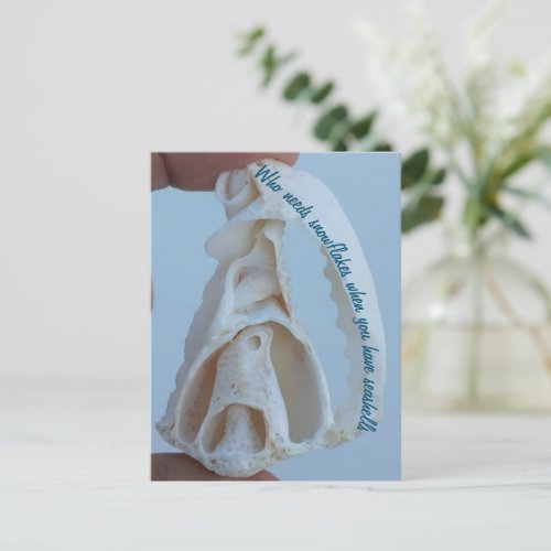 Seashell holiday postcard