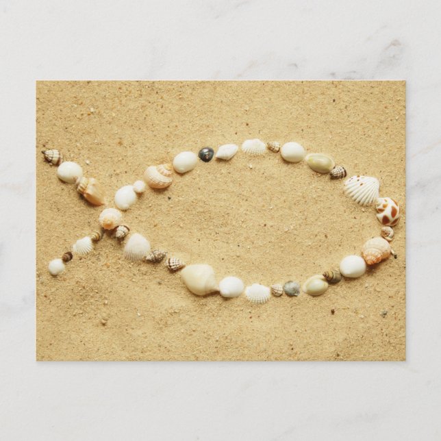 Seashell Ichthys Postcard (Front)