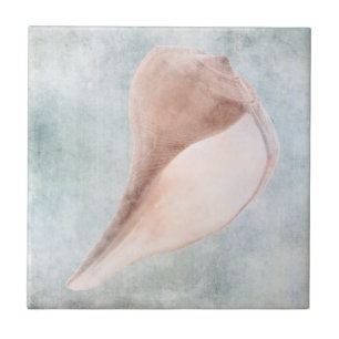 Seashell in Cream and Coastal Blue Pastel Ceramic Tile