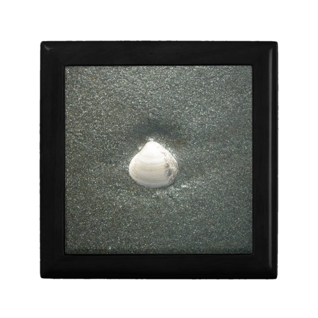 Seashell in the Sand: A Salty Souvenir Jewelry Box (Front)