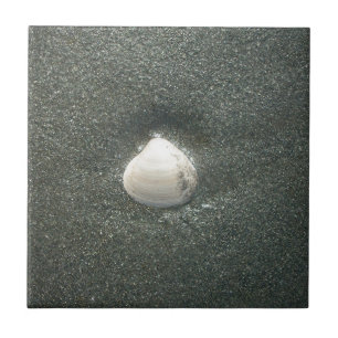 Seashell in the Sand: A Salty Souvenir Tile