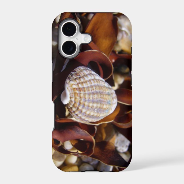 Seashell Iphone Case (Back)