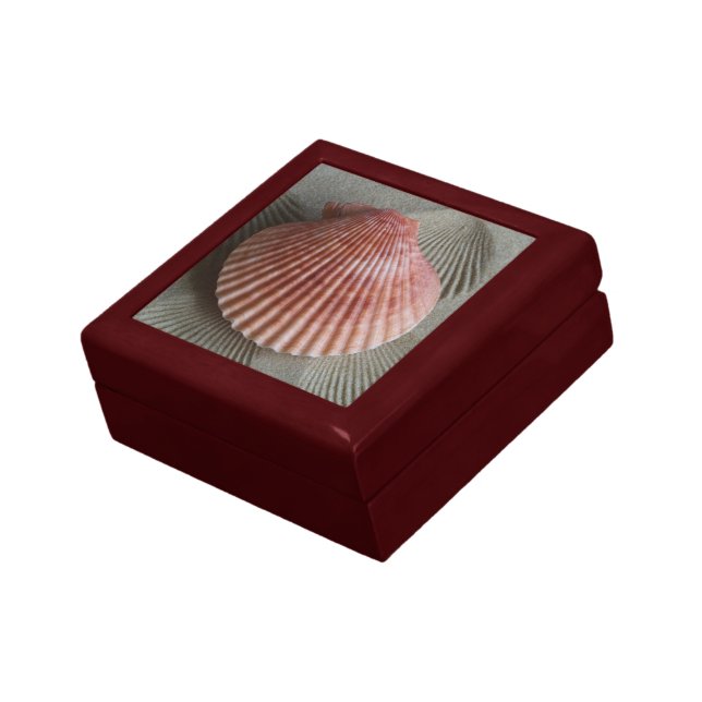 Seashell Keepsake Box (Side)