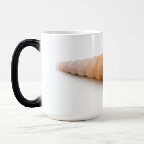 Seashell Magic Mug