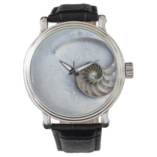 seashell nautilus shell minimal watch