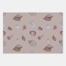 Seashell neutral tones gift wrap