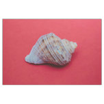 Seashell on a red background fabric