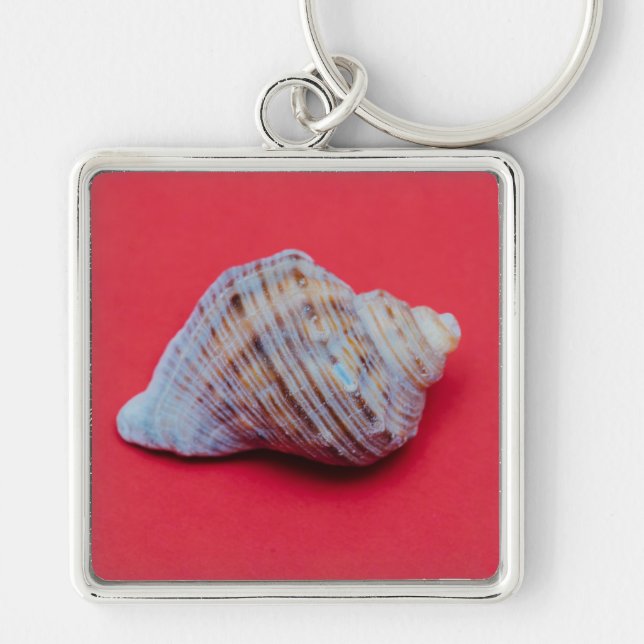 Seashell on a red background keychain (Front)