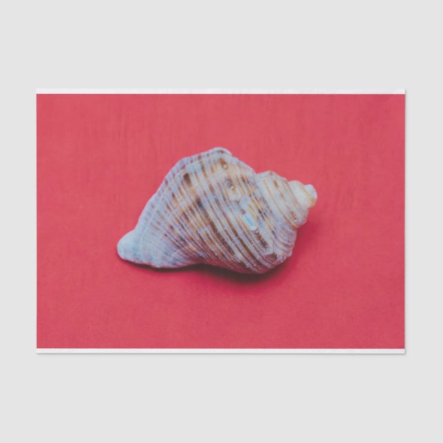 Seashell on a red background tissue paper (Front)