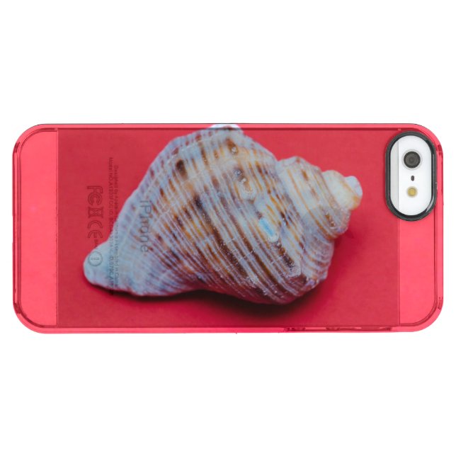 Seashell on a red background uncommon iPhone case (Back Horizontal)