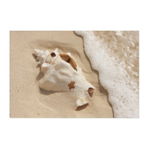 Seashell On Beach   Grand Turk Caribbean Island Acrylic Print
