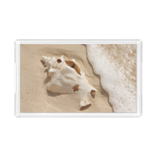 Seashell On Beach   Grand Turk Caribbean Island Acrylic Tray