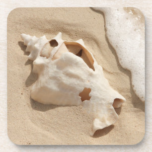 Seashell On Beach   Grand Turk Caribbean Island Coaster