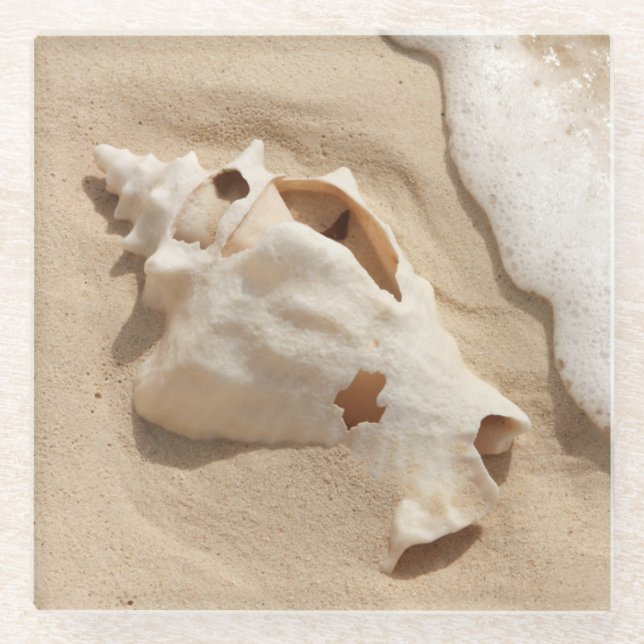 Seashell On Beach | Grand Turk Caribbean Island Glass Coaster (Front)