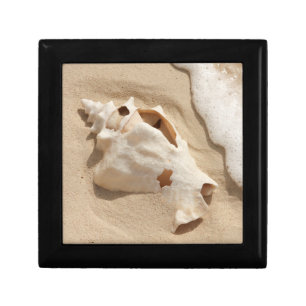 Seashell On Beach   Grand Turk Caribbean Island Keepsake Box