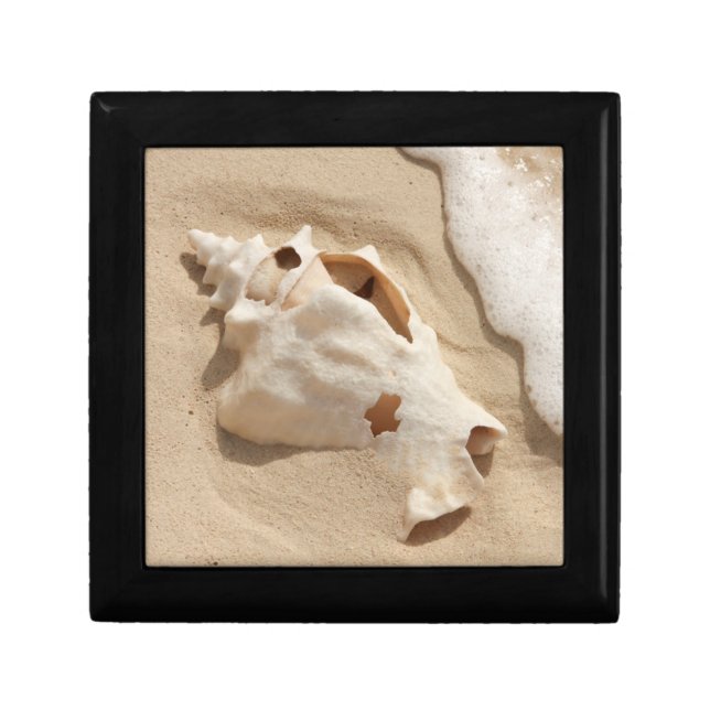 Seashell On Beach | Grand Turk Caribbean Island Keepsake Box (Front)