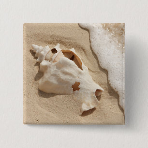 Seashell On Beach   Grand Turk Caribbean Island Pinback Button