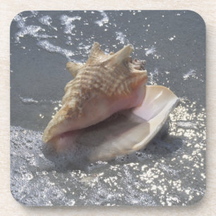 Seashell On Beach Sanibel Island, Florida Beverage Coaster