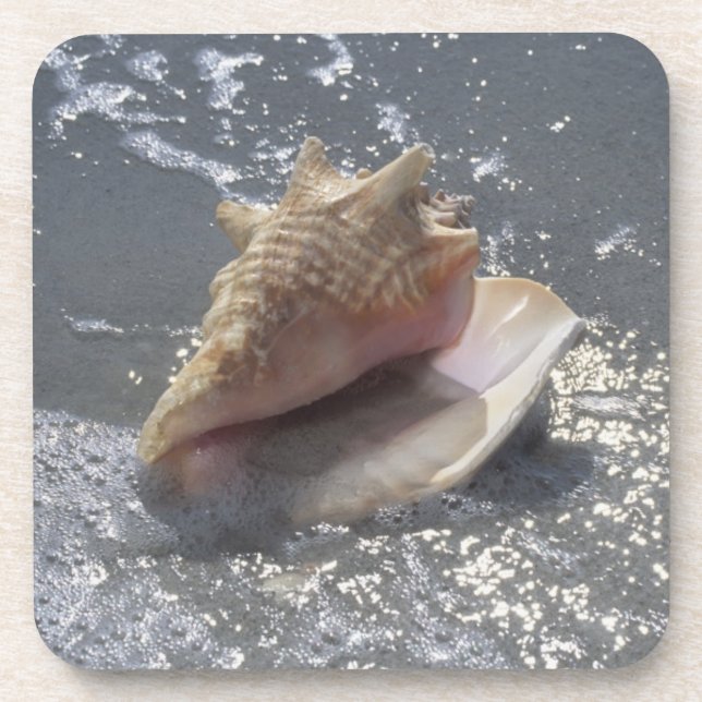 Seashell On Beach | Sanibel Island, Florida Beverage Coaster (Front)