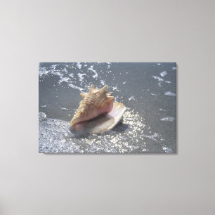 Seashell On Beach   Sanibel Island, Florida Canvas Print