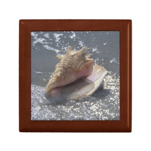 Seashell On Beach  Sanibel Island Florida Gift Box