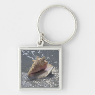 Seashell On Beach Sanibel Island, Florida Keychain