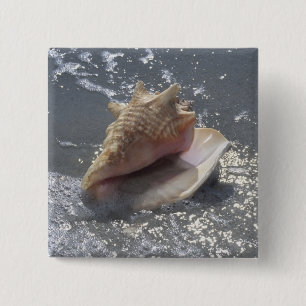 Seashell On Beach Sanibel Island, Florida Pinback Button