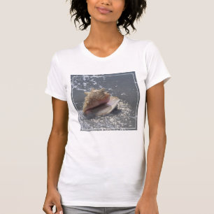 Seashell On Beach Sanibel Island, Florida T-Shirt