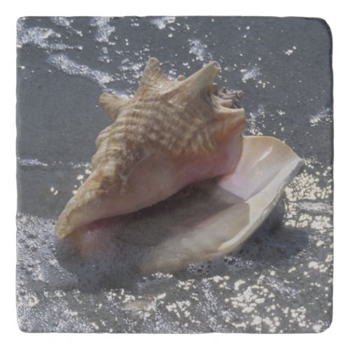 Seashell On Beach  Sanibel Island Florida Trivet
