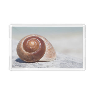Seashell On Beach St. Petersburg, Fl Acrylic Tray