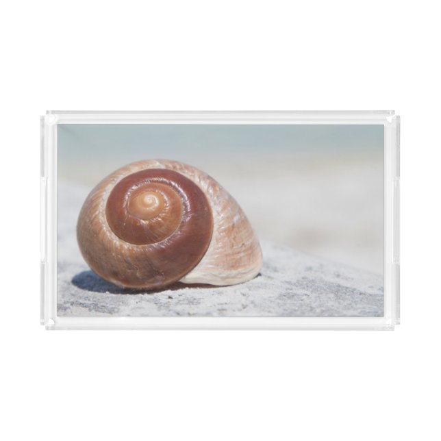 Seashell On Beach | St. Petersburg, Fl Acrylic Tray (Front)