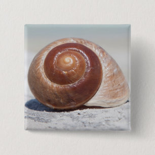 Seashell On Beach St. Petersburg, Fl Button