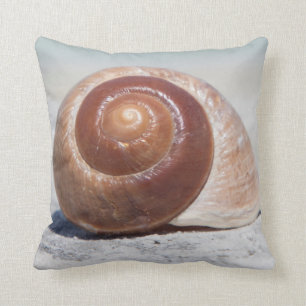 Seashell On Beach St. Petersburg, Fl Throw Pillow