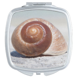 Seashell On Beach   St. Petersburg, Fl Vanity Mirror