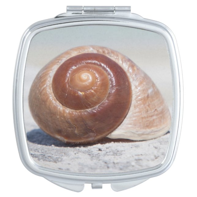 Seashell On Beach | St. Petersburg, Fl Vanity Mirror (Front)