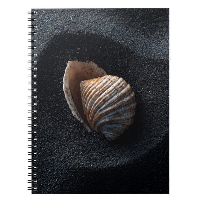 Seashell on Dark Sand Notebook (Front)