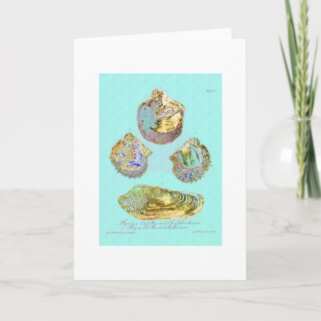 Seashell on Robins Egg Blue Card (Front)