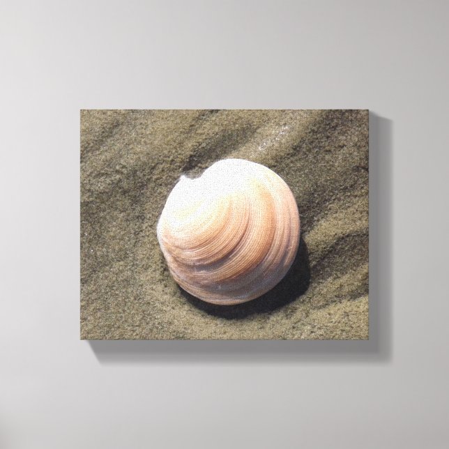 Seashell on the Sand Canvas Print (Front)