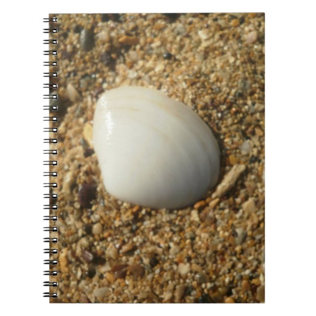 Seashell on the Sand Notebook (Front)