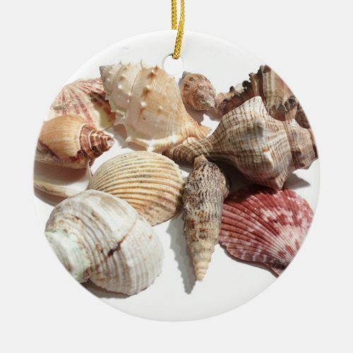 Seashell ornament