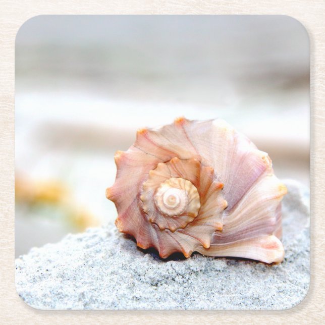 Seashell Paper Coasters (Front)