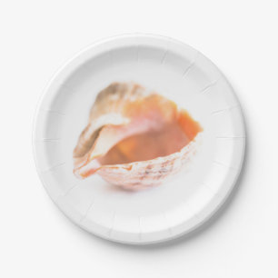 Seashell Paper Plates