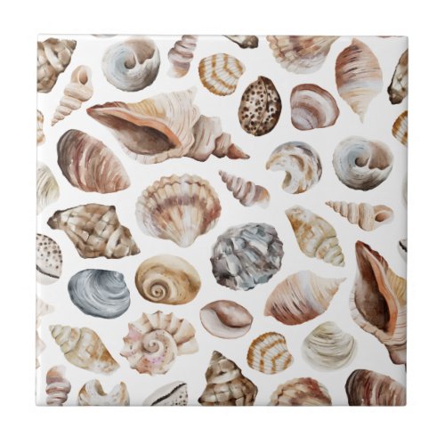 Seashell pattern ceramic tile