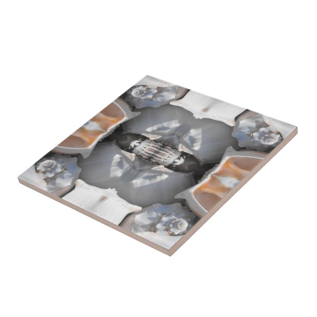 Seashell Pattern Tile (Side)