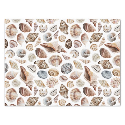 Seashell pattern tissue paper