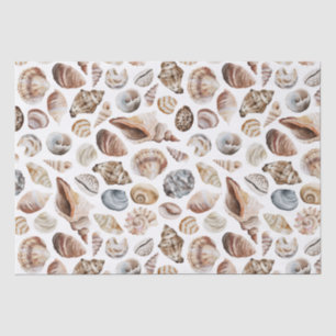 Seashell pattern tissue paper