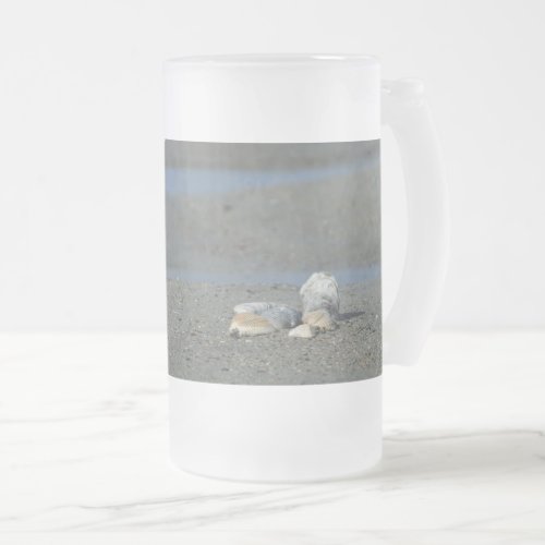 Seashell Pile Frosted Glass Beer Mug